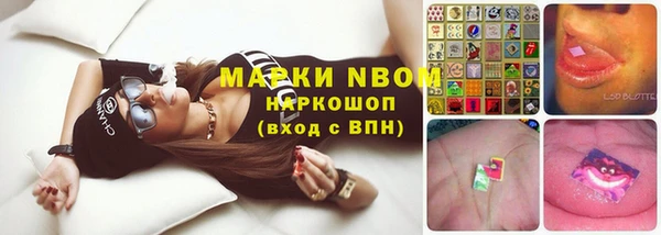СК Покров