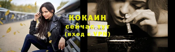 прущие грибы Покровск