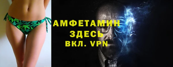 МДПВ Пересвет