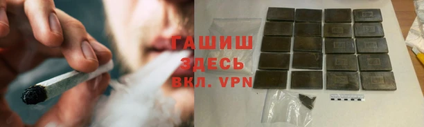 прущие грибы Покровск