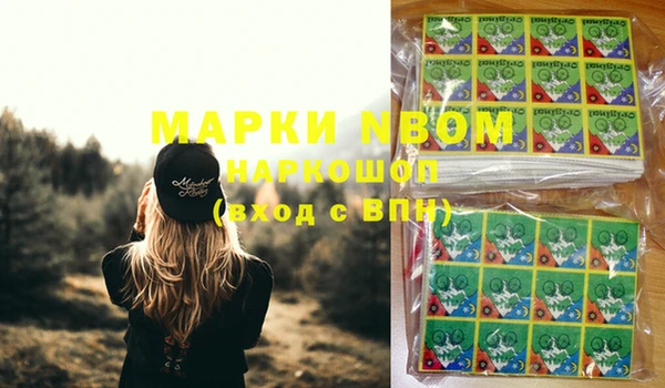 ПСИЛОЦИБИНОВЫЕ ГРИБЫ Осинники