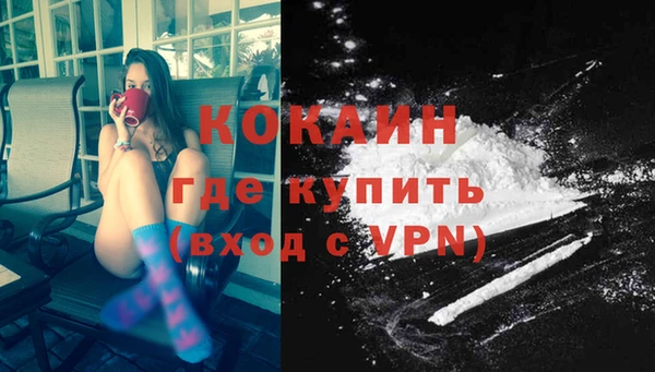 прущие грибы Покровск