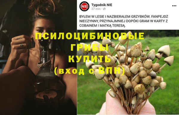 МДПВ Пересвет