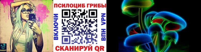 Галлюциногенные грибы Psilocybine cubensis  Краснокаменск 