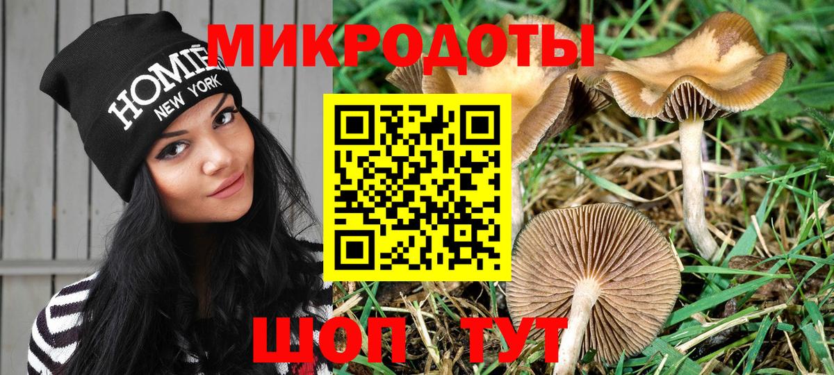 Краснокаменск  Псилоцибиновые грибы Psilocybine cubensis  Вход с VPN 